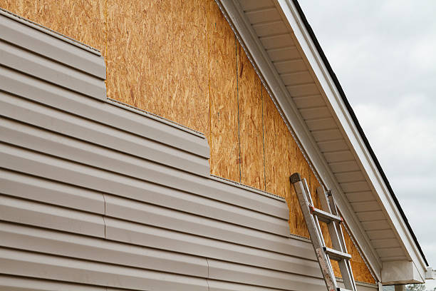 Professional Siding Repair technician working in Courtland, VA